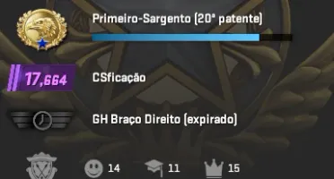 Conta Cs2 Prime- 17,6K Premier- Com Medalhas (860hrs)