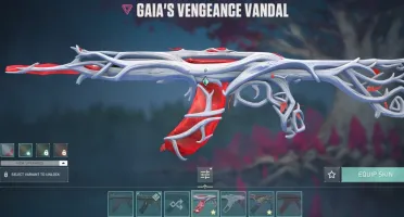 Conta Valorant