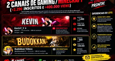 🔥Exclusive Bundle: 2 Gaming/Minecraft Channels