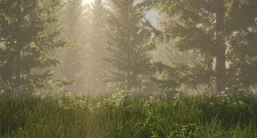 Natural Vision Evolved - NVE FiveM 2025 - Janeiro Update