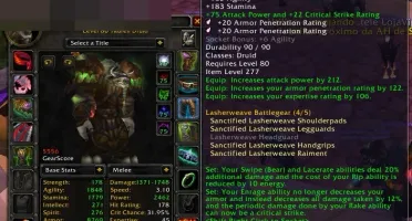 Mage 6.5k GS + Warlock full t10her +Druid full t10her feral