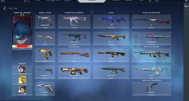Conta Valorant Muitas Skins + Kit Champions 2022