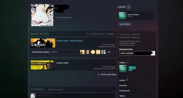 CONTA STEAM 16 ANOS - COM MEDALHA DE 10 E 5 ANOS CSGO