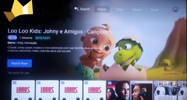 Script APK Smarters Pro Layout Novo com Painel Multi DNS