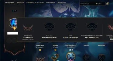 Ferro 4 com 60 Champs e 10 Skins