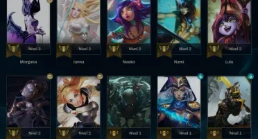 Conta Main Suporte lvl 20 + Anniesario