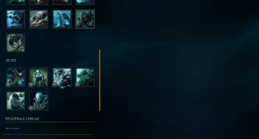 LVL 29 quase 30, 14champ, mts frags 1 skin temmo squad ómega