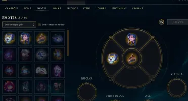 LVL 29 quase 30, 14champ, mts frags 1 skin temmo squad ómega