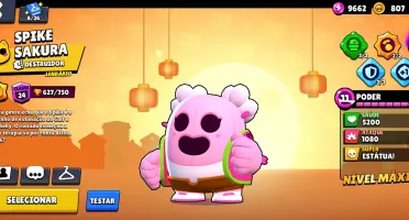 Conta de Braw super upada