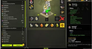 Conta Dofus