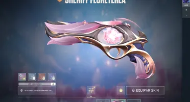 Conta valorant skins