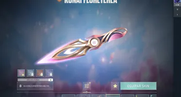 Conta valorant skins