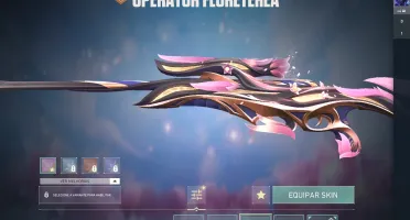Conta valorant skins