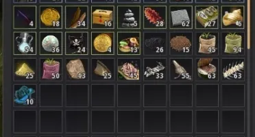 CONTA BLACKDESERT P2W C/CARRACA