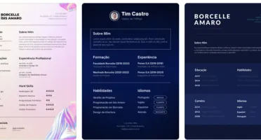 Pack Premium de 17 Currículos Editáveis no Canva 2024 PRO