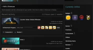 ⭐ 15 Anos/ SUPREMO*/ Csgo 2 Medalhas/ 9900H/ 214 Wins...