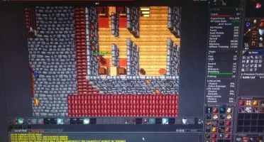 Vendo Knight Lvl 37 - 52/45 c/ set em MENERA + RK