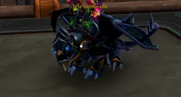Conta Wow Com Vários Mog Elite De PvP