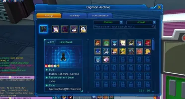 ACC DMO TOP