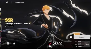 Conta de Bleach Soul Resonance Lvl 62