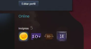 Steam level 12 | CS:GO Supremo 800 horas+