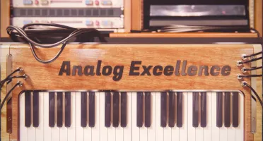 FL Studio Producer Edition+FLEX Extensions & Addition Plus