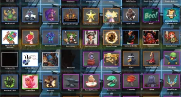 Paladins
