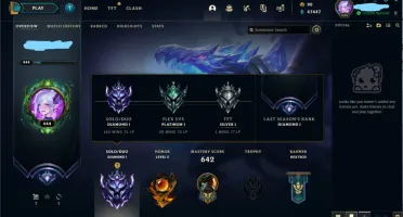 Conta d1 (ex- mestre) (todos os champs) (Skin Ult) (pt-br)