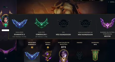 Conta D2 borda mestre 244 skins + Skins/faca valorant