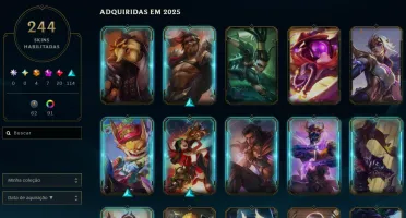 Conta D2 borda mestre 244 skins + Skins/faca valorant