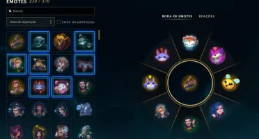 Conta D2 borda mestre 244 skins + Skins/faca valorant