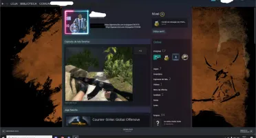 conta steam31 lvl 20 na gc com varias assinaturas de pro