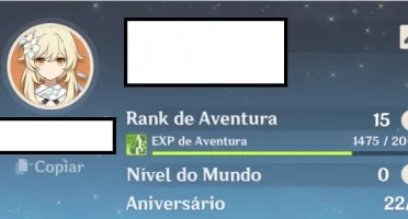 AR 15 Ayaka Keqing e Andarilho