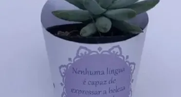 Kit 50 Rótulos e 50 Tags para Mini Suculentas