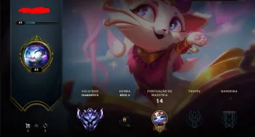 CONTA D2 MAIN SUPORTE MMR OKAY