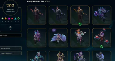 Conta com 12 anos de criação, mais de 200 skins