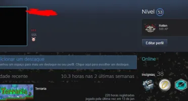 Steam Level 52, CSGO Prime, Gta 5, Rust e Stardew Valley