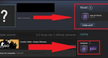 Conta CSGO - Medalha 10 anos de serviço (13 anos de steam)