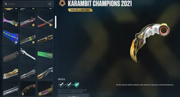 Conta Valorant - R$6500 em skins, champions 2021 e etc