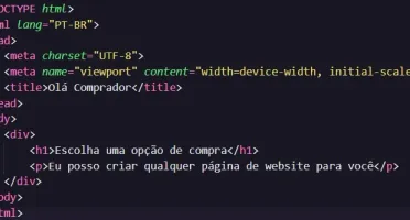 Desenvolvedor FULL-STACK (Crio qualquer aplicação)