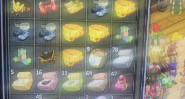 2 Contas Dofus Lv 200