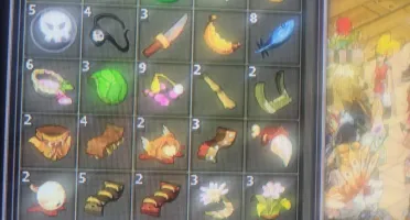 2 Contas Dofus Lv 200