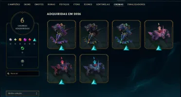 Mestre com 30 Champs e 6 Skins