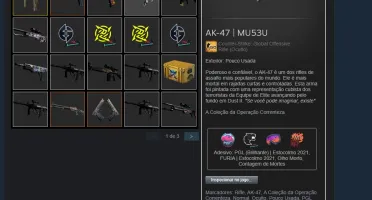 CONTA CSGO COM MAIS DE R$ 700 EM SKINS (MERCADO BLOQUEADO)