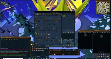 Conta Runescape RARA + 540M + 15 anos de conta