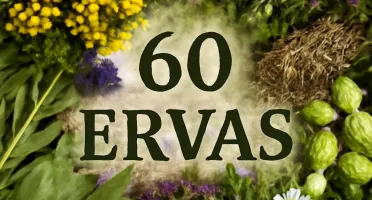 Guia Completo de Ervas Medicinais - Baixe Agora