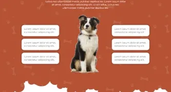 Super pack 1000 templates wp