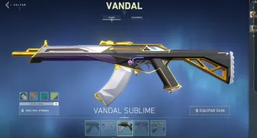 Conta daora cheia de skin
