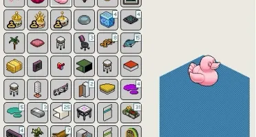 Conta habbo