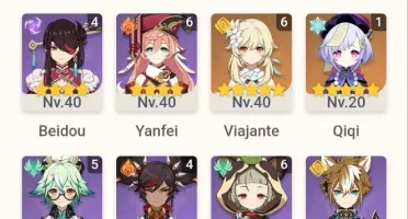 Hutao C1+Yelan+Raiden C1+Zhongli